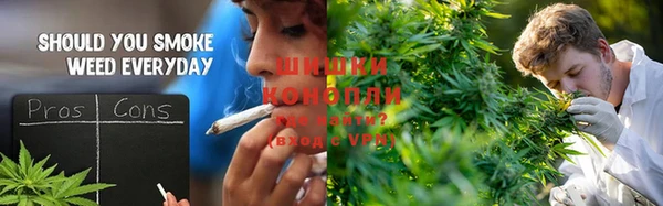 спайс Касимов